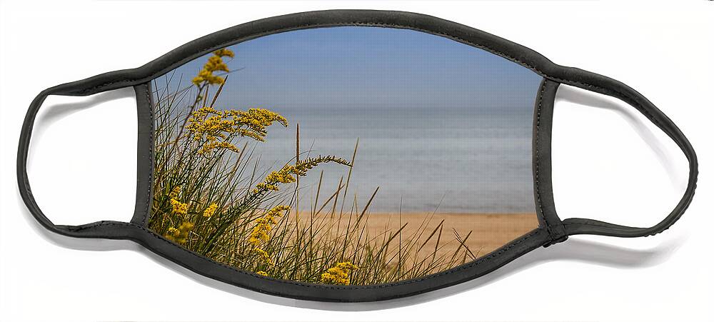 Beach Face Mask featuring the photograph Indiana Dunes on Lake Michigan by Ron Pate