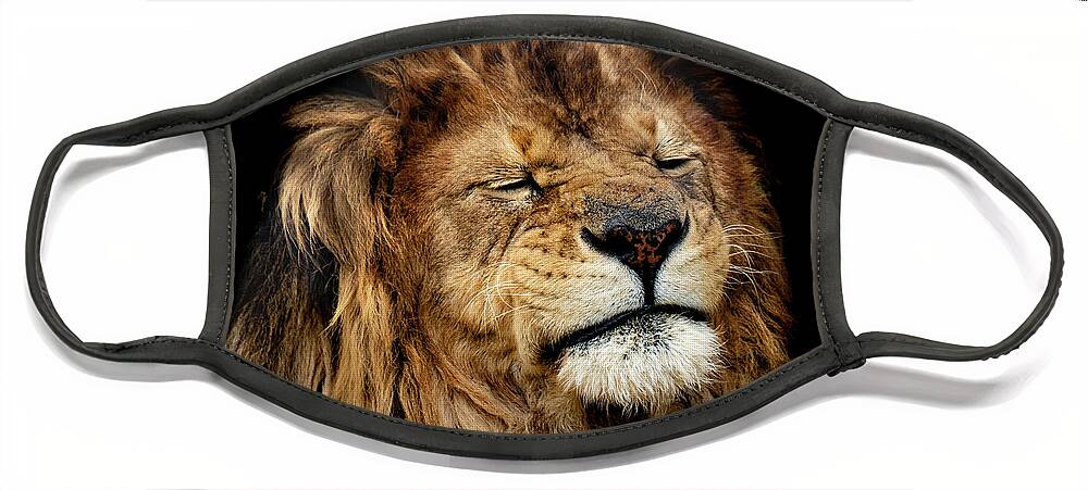 Lion Face Mask featuring the photograph Indigestion by Sam Rino