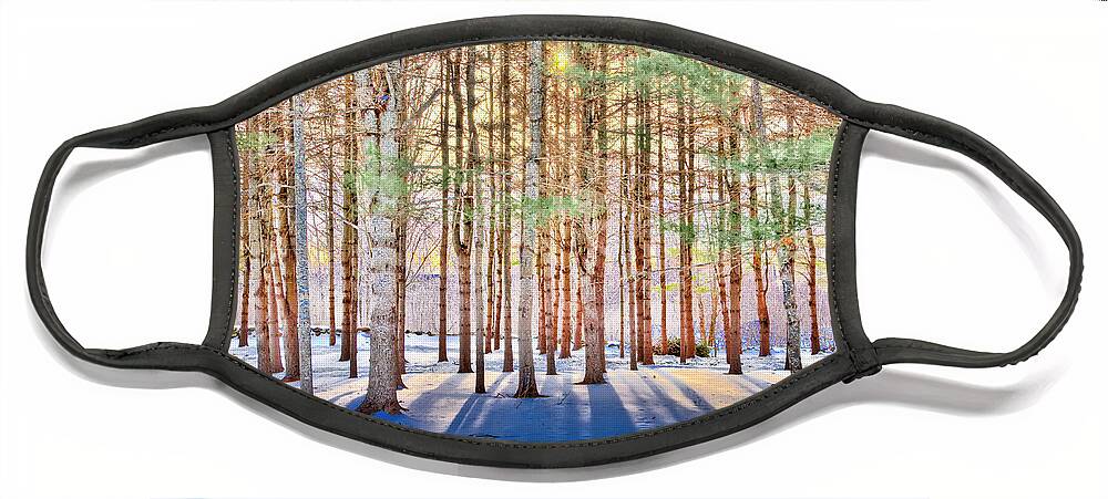 Treescape Face Mask featuring the photograph Indigo Spread by Jeff Cooper