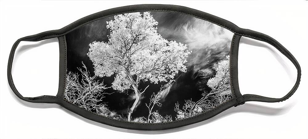 Infrared Tree Face Mask featuring the photograph Infrared Tree Tops by Roseanne Jones