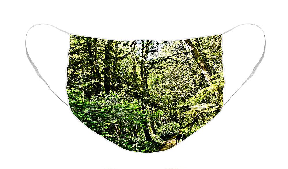 Forest Face Mask featuring the photograph Into the Forest by Alicia Kent