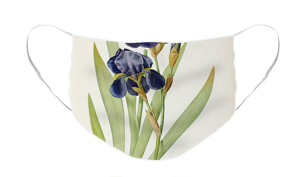 #faatoppicks Face Mask featuring the painting Iris Germanica by Pierre Joseph Redoute