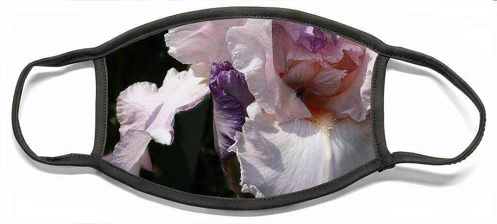 Flower Face Mask featuring the photograph Iris Lace by Steve Karol