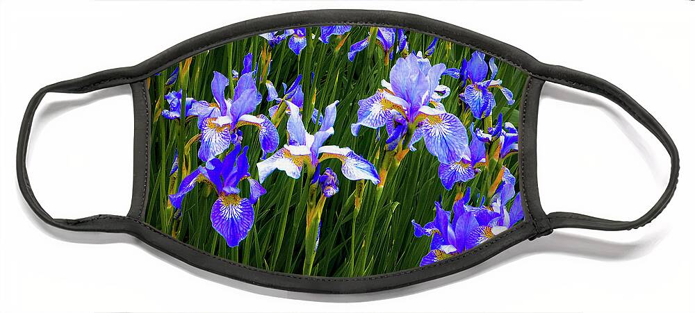 Flowers Face Mask featuring the photograph Irises by Jeff Cooper