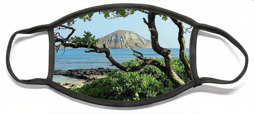 Island Through The Trees Face Mask featuring the photograph Island Through the Trees by Jennifer Robin