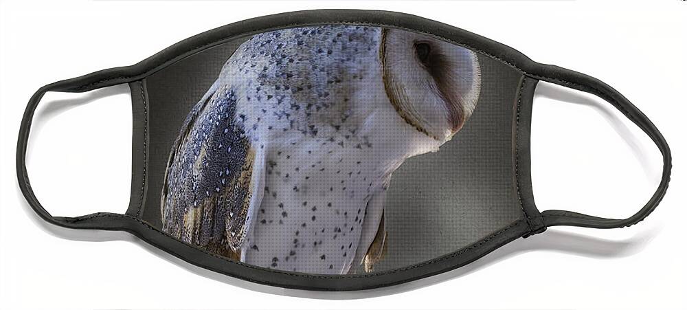 Raptor Face Mask featuring the photograph Ivy the Barn Owl by Elaine Teague