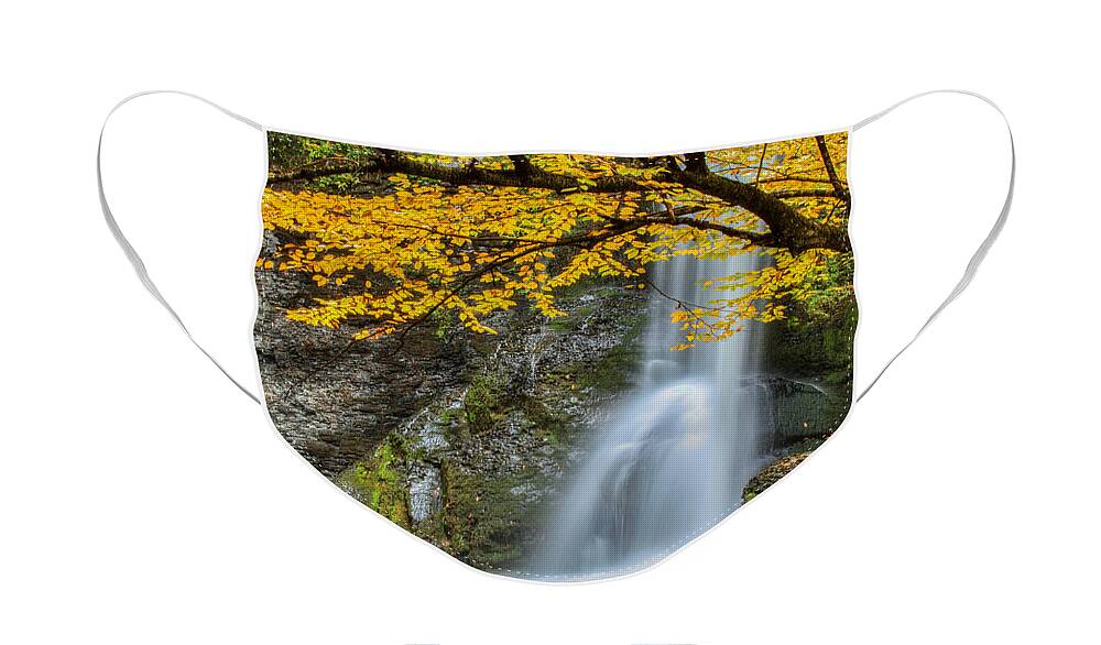 Art Face Mask featuring the photograph Japanese Falls by Phil Spitze
