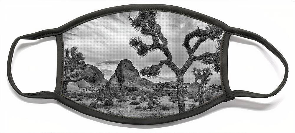 Joshua Tree Face Mask featuring the photograph Joshua Tree National Park Black and White Landscape by Dave Dilli