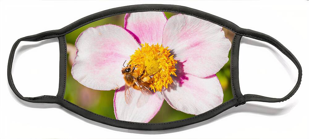 Flower Face Mask featuring the photograph Just A Little Sip. by Charles McCleanon