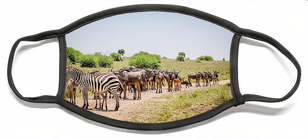  Masai Face Mask featuring the photograph Kenyan Roadblock by Bryan Moore