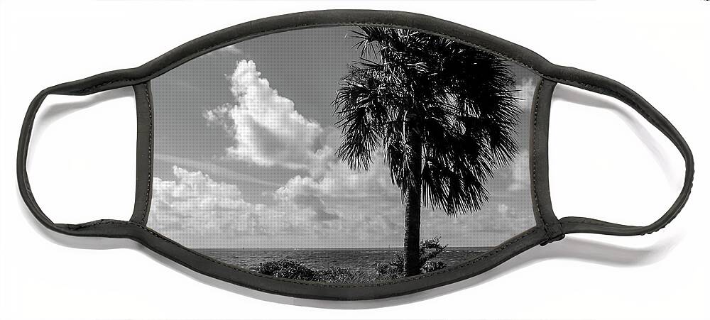 Photo For Sale Face Mask featuring the photograph Key West Palm by Robert Wilder Jr