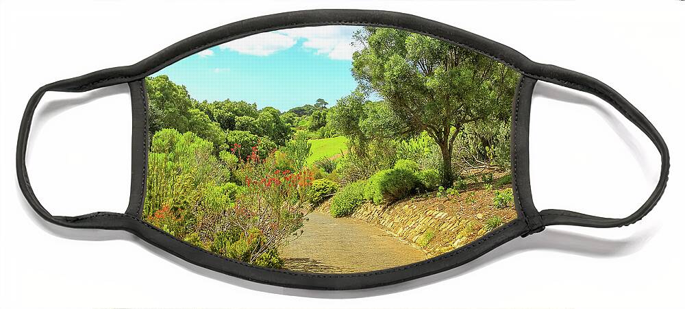 Cape Town Face Mask featuring the photograph Kirstenbosch in Cape Town by Benny Marty