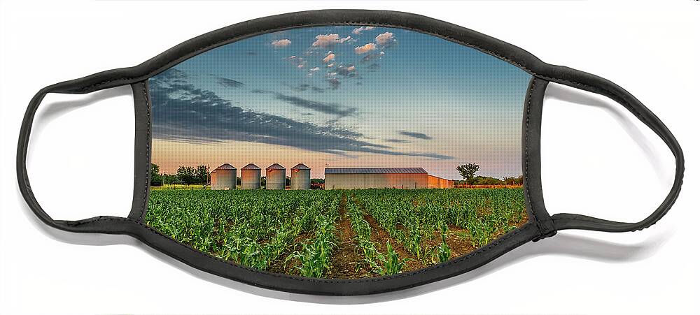 Ruralscape Face Mask featuring the photograph Knee High Sweet Corn by Steven Sparks