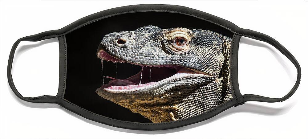 Zoo Face Mask featuring the photograph Komodo Dragon Profile by Bill Cubitt