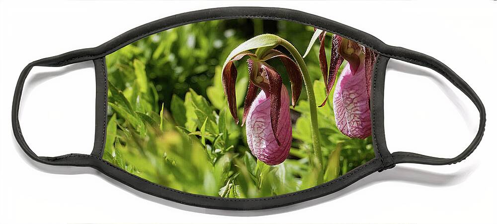 Lady Slipper Orchids Face Mask featuring the photograph Lady Slipper Orchids by Holly Ross