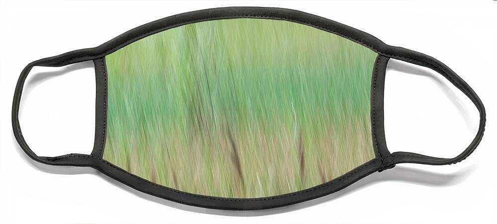 Grasses Face Mask featuring the photograph Lake's Edge by Deborah Hughes