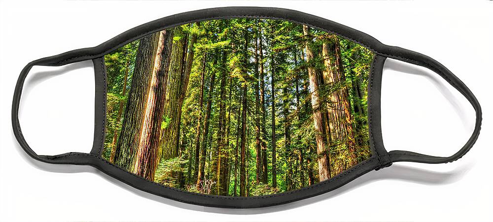 Photograph Face Mask featuring the photograph Land of the Giants by Richard Gehlbach