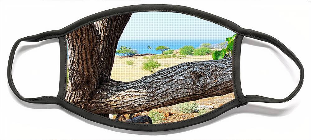 Lapakahi View Face Mask featuring the photograph Lapakahi View by Jennifer Robin