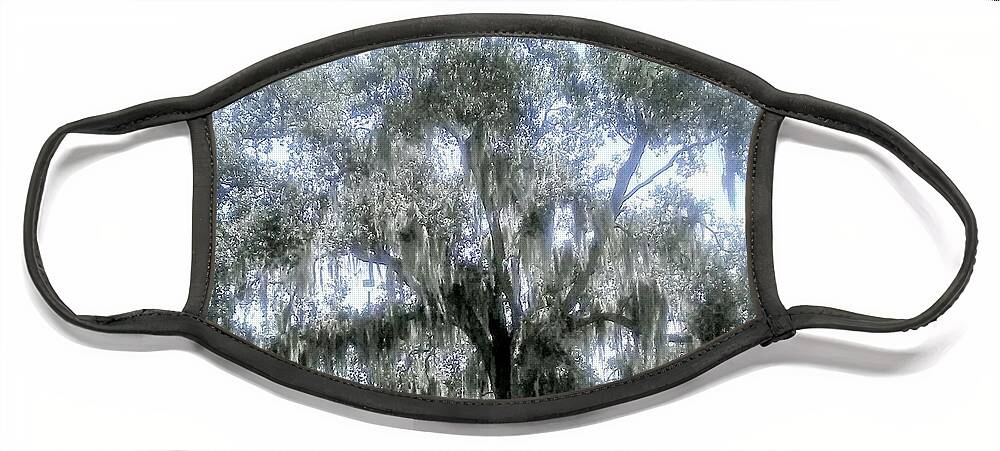 Tree. Florida Face Mask featuring the photograph Largo's Spanish Moss by Suzanne Berthier