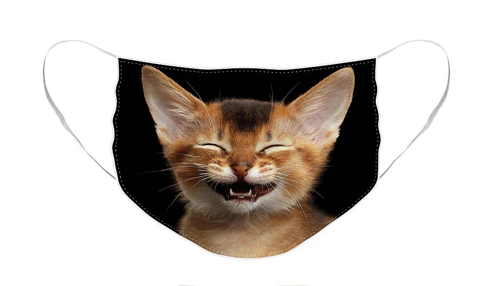 #faatoppicks Face Mask featuring the photograph Laughing Kitten by Sergey Taran