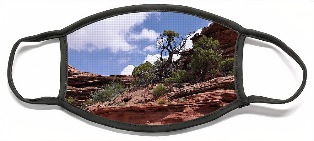 Canyonlands National Park Face Mask featuring the photograph Layers Upon Layers by Frank Madia