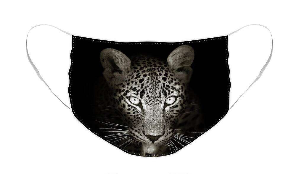 Leopard Face Mask featuring the photograph Leopard portrait in the dark by Johan Swanepoel