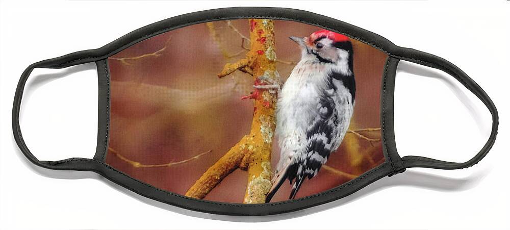 Lesser Spotted Woodpecker Face Mask featuring the photograph Lesser Spotted Woodpecker - Dryobates minor by Marc Braner