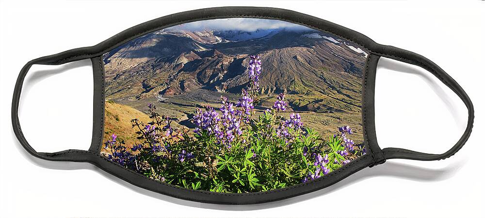 Mount Face Mask featuring the photograph Life will find a way by Patrick Campbell