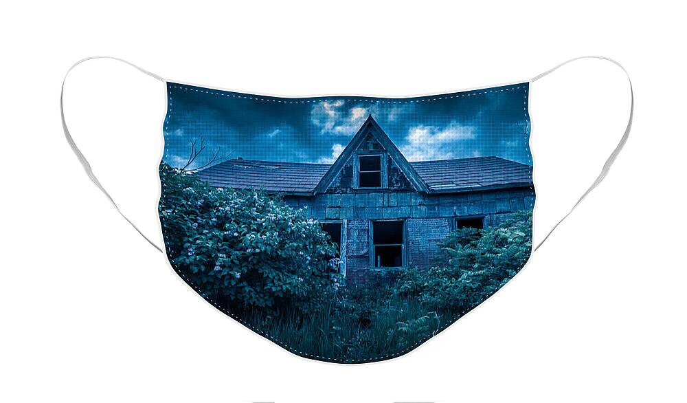 Abandoned Face Mask featuring the photograph Lilac House by Roger Monahan