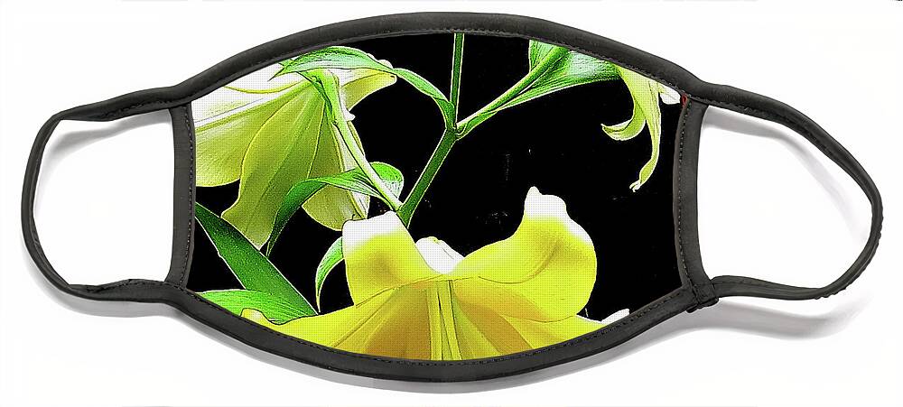 Flower Face Mask featuring the photograph Lilies in the sun by Linda Stern