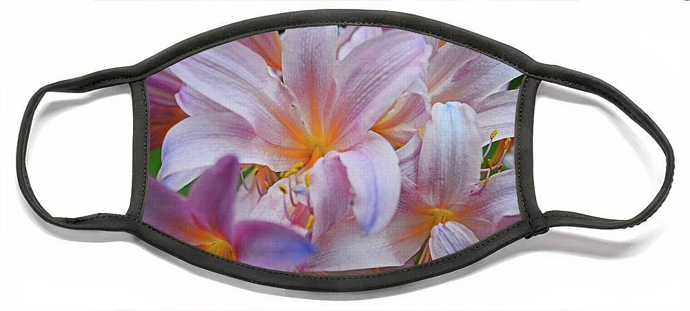 Daylily Face Mask featuring the photograph Lily Lavender Closeup by George D Gordon III