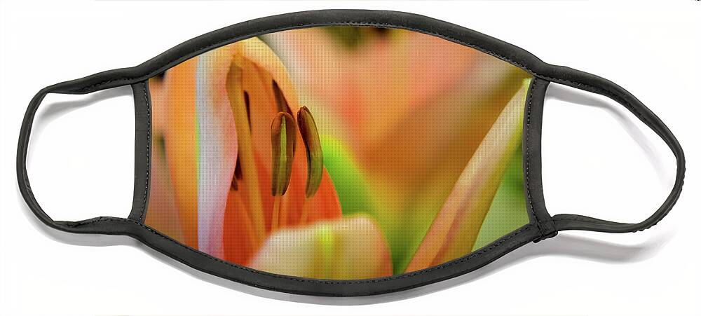 Flower Face Mask featuring the photograph Lily by Mariusz Talarek