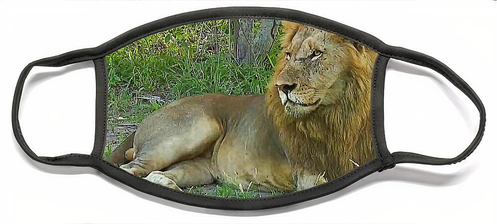 Lion Face Mask featuring the photograph Lion by Gini Moore