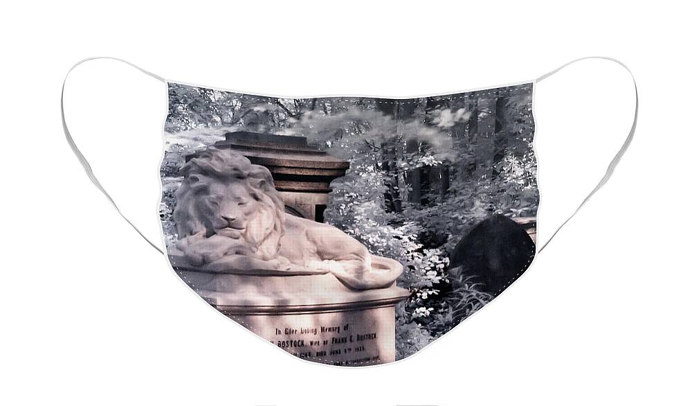 Animal Face Mask featuring the photograph Sleeping lion by Helga Novelli