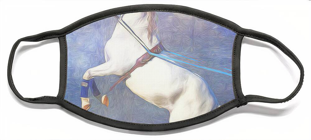 Lipizzaner Face Mask featuring the photograph Lipizzaner Stallion Square by Eleanor Abramson