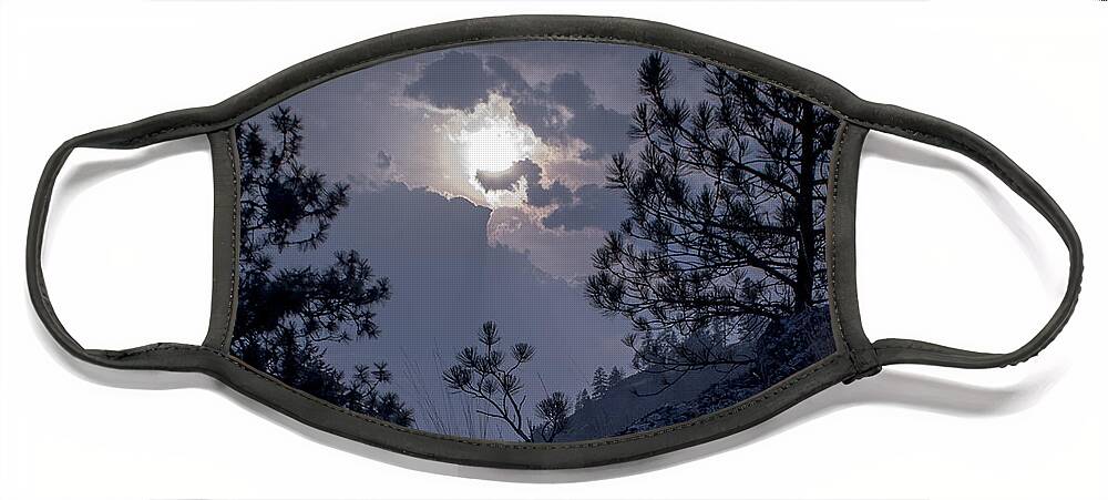 Rattlesnake Mt Face Mask featuring the photograph Little Pine by Troy Stapek