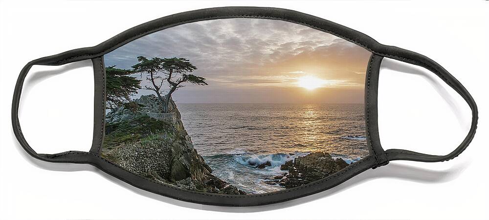 Lone Cypress Face Mask featuring the photograph Lone Cyress by Bill Roberts