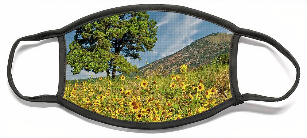 Arizona Face Mask featuring the photograph Lone Tree in a Sunflower Field by Jeff Goulden