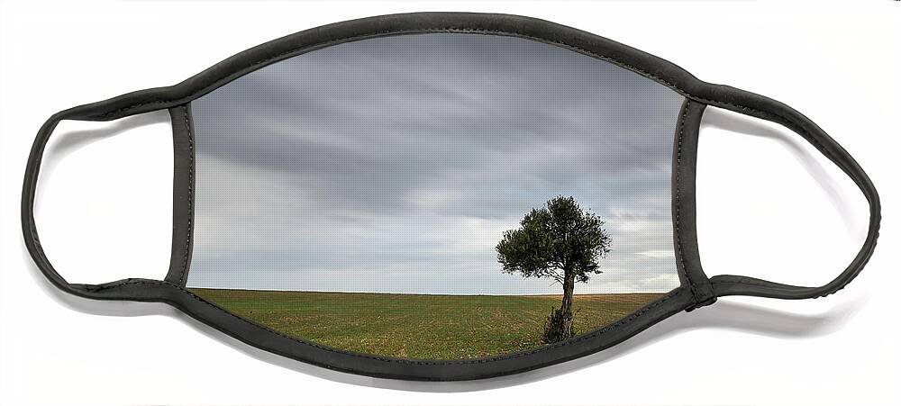 Olive Tree Face Mask featuring the photograph Lonely Olive tree with moving clouds by Michalakis Ppalis