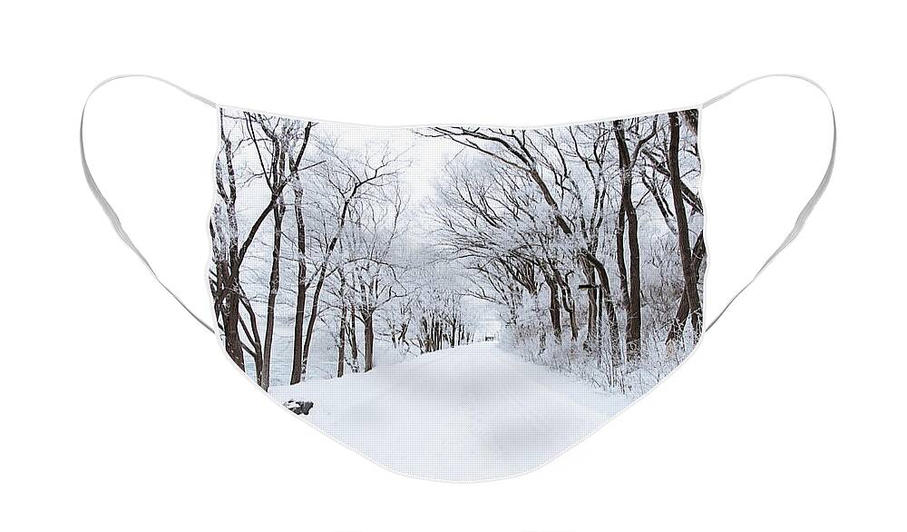 Snow Face Mask featuring the photograph Lonely Snowy Road by Newwwman