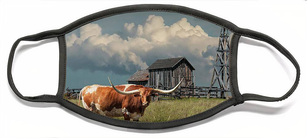 Art Face Mask featuring the photograph Longhorn Steer in a Prairie pasture by Windmill and Old Gray Wooden Barn by Randall Nyhof