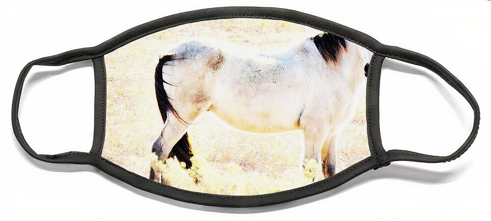 Horse Face Mask featuring the photograph Looking Good by Merle Grenz