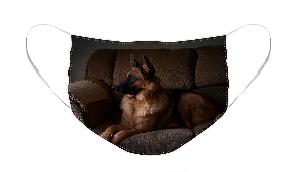 German Shepherd Dogs Face Mask featuring the photograph Looking Out The Window - German Shepherd Dog by Angie Tirado