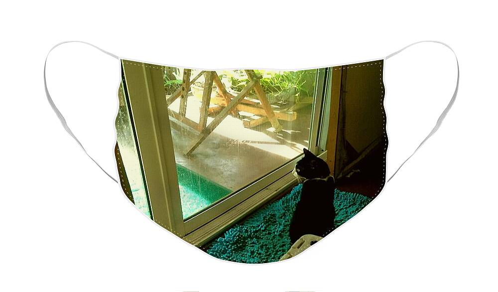 Cat Face Mask featuring the photograph Looking Outside by Sukalya Chearanantana