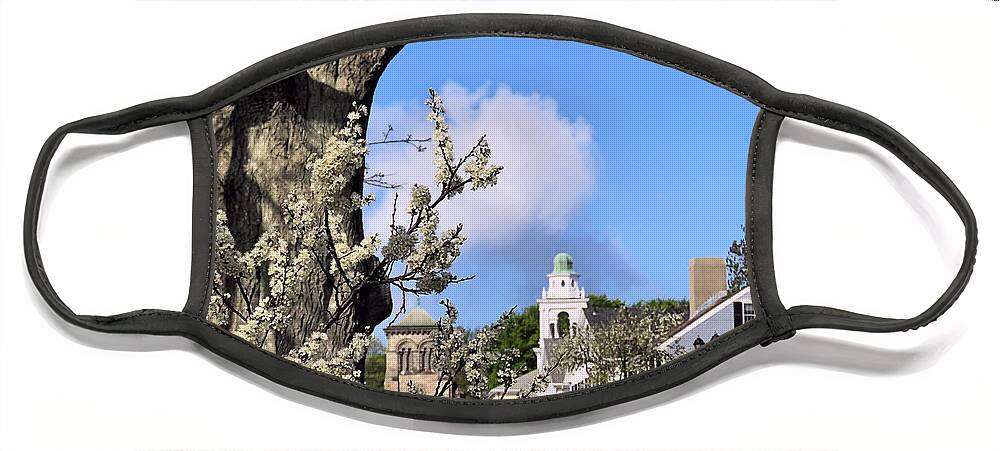 Spring Face Mask featuring the photograph Looking Towards Town Square by Janice Drew