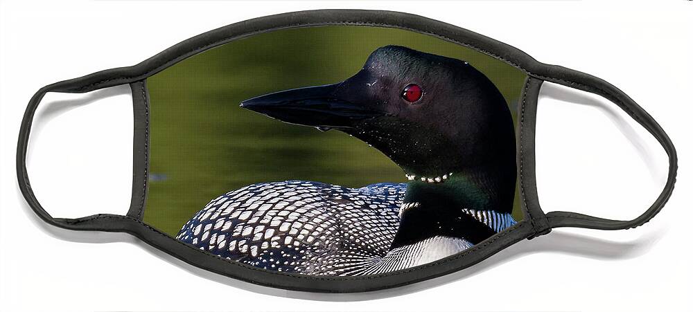 Bird Face Mask featuring the photograph Loon Close Up by Darryl Hendricks