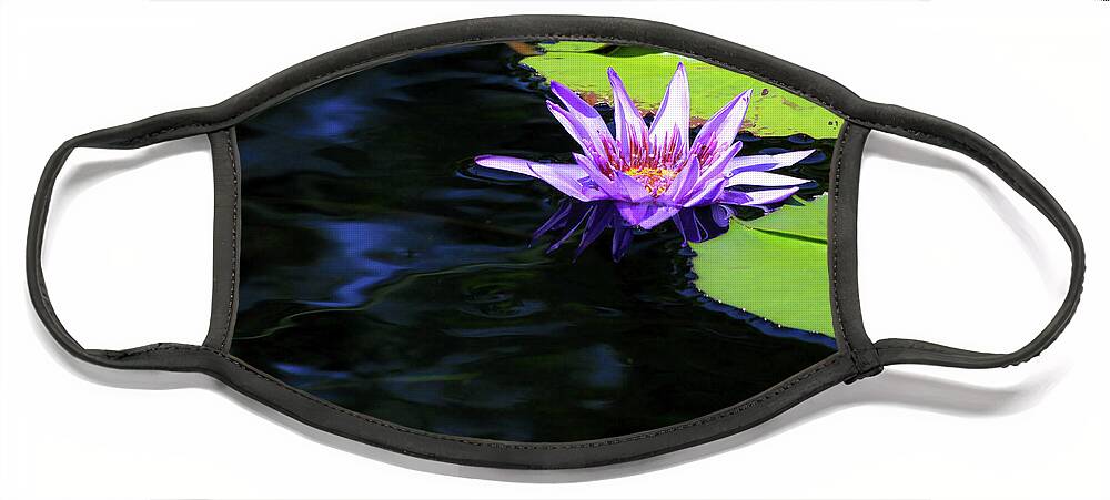 Lotus Face Mask featuring the photograph Lotus and Dark Water Refection by Paula Guttilla