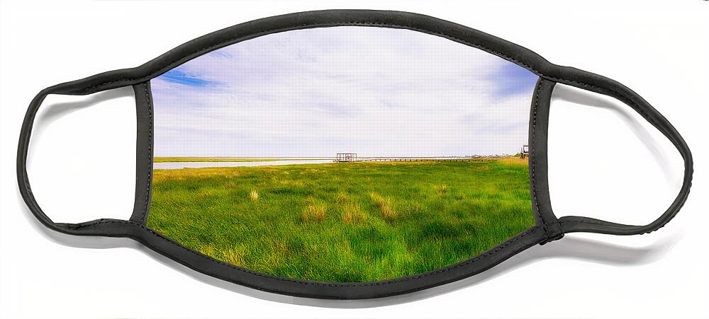 Gulf Of Mexico Face Mask featuring the photograph Louisiana Marsh by Raul Rodriguez