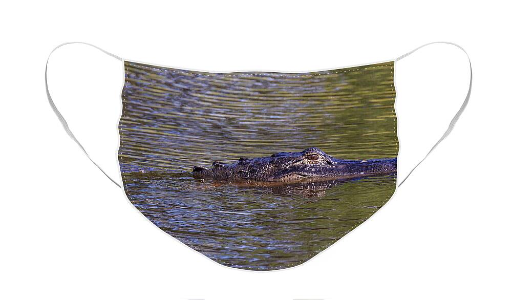 Florida Face Mask featuring the photograph Lurking Alligator by Paul Schultz