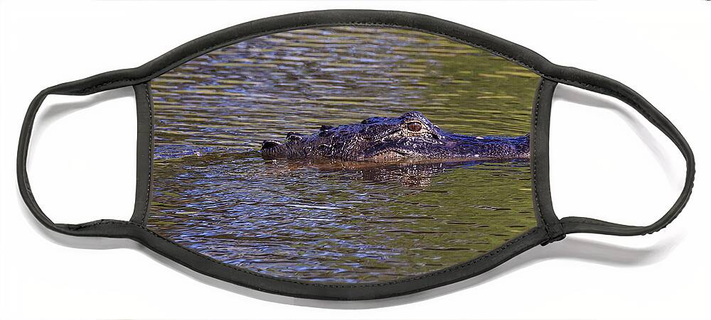 Florida Face Mask featuring the photograph Lurking Alligator by Paul Schultz